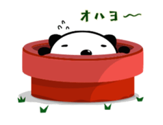 Funny Panda and Friend sticker #385372