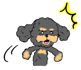 Let's talk with toy poodle! sticker #385915