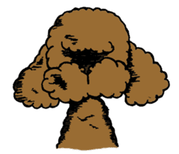 Let's talk with toy poodle! sticker #385916