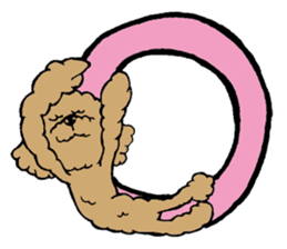 Let's talk with toy poodle! sticker #385917