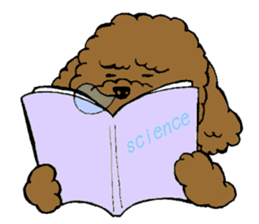 Let's talk with toy poodle! sticker #385919