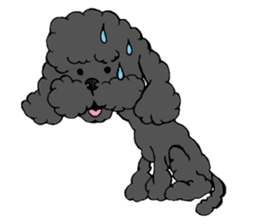 Let's talk with toy poodle! sticker #385924