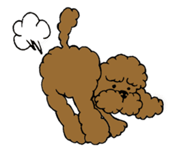 Let's talk with toy poodle! sticker #385925