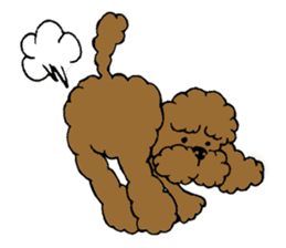 Let's talk with toy poodle! sticker #385925
