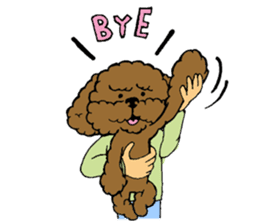 Let's talk with toy poodle! sticker #385927