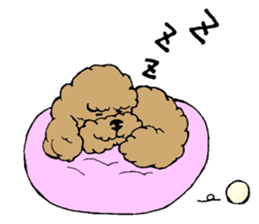 Let's talk with toy poodle! sticker #385928