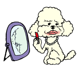 Let's talk with toy poodle! sticker #385930