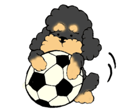 Let's talk with toy poodle! sticker #385931