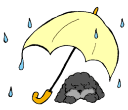 Let's talk with toy poodle! sticker #385932