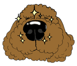 Let's talk with toy poodle! sticker #385933