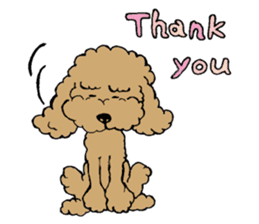 Let's talk with toy poodle! sticker #385934