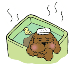 Let's talk with toy poodle! sticker #385936