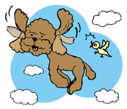 Let's talk with toy poodle! sticker #385937