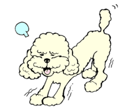 Let's talk with toy poodle! sticker #385938