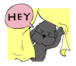 Let's talk with toy poodle! sticker #385939