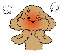 Let's talk with toy poodle! sticker #385942