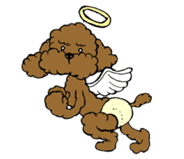 Let's talk with toy poodle! sticker #385943