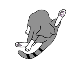 CATLIFE sticker #386308