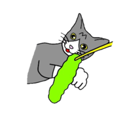 CATLIFE sticker #386316