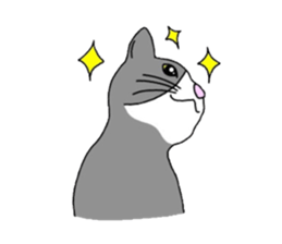 CATLIFE sticker #386337