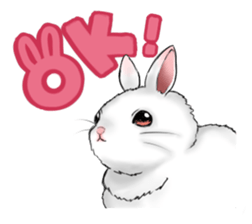 The feeling of a rabbit sticker #386585