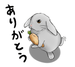 The feeling of a rabbit sticker #386588