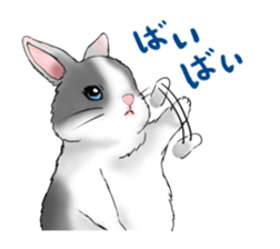 The feeling of a rabbit sticker #386590