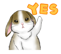 The feeling of a rabbit sticker #386592