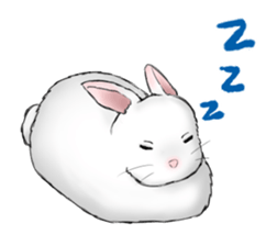 The feeling of a rabbit sticker #386594