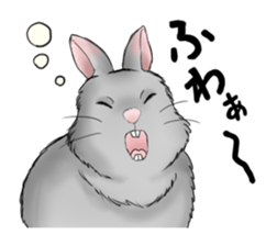 The feeling of a rabbit sticker #386595