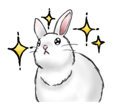 The feeling of a rabbit sticker #386596