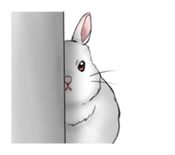 The feeling of a rabbit sticker #386597