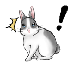 The feeling of a rabbit sticker #386598