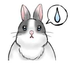 The feeling of a rabbit sticker #386600
