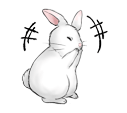 The feeling of a rabbit sticker #386601