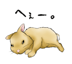 The feeling of a rabbit sticker #386604