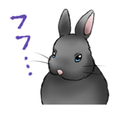 The feeling of a rabbit sticker #386605