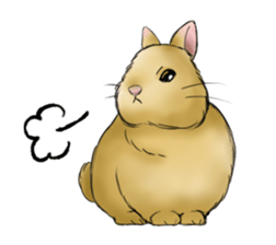 The feeling of a rabbit sticker #386606