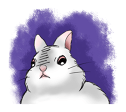The feeling of a rabbit sticker #386607