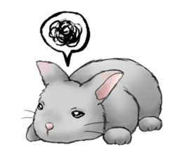 The feeling of a rabbit sticker #386610