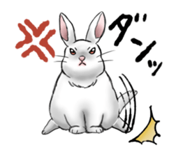 The feeling of a rabbit sticker #386611