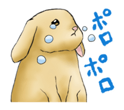 The feeling of a rabbit sticker #386612