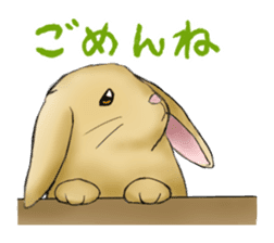 The feeling of a rabbit sticker #386613