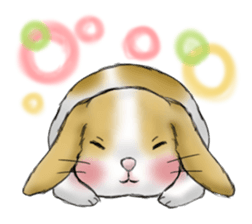The feeling of a rabbit sticker #386615