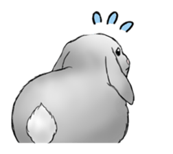 The feeling of a rabbit sticker #386616