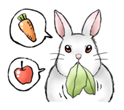 The feeling of a rabbit sticker #386617