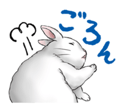 The feeling of a rabbit sticker #386621