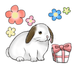 The feeling of a rabbit sticker #386622