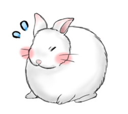 The feeling of a rabbit sticker #386623