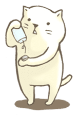 Kamineco for one year sticker #386984